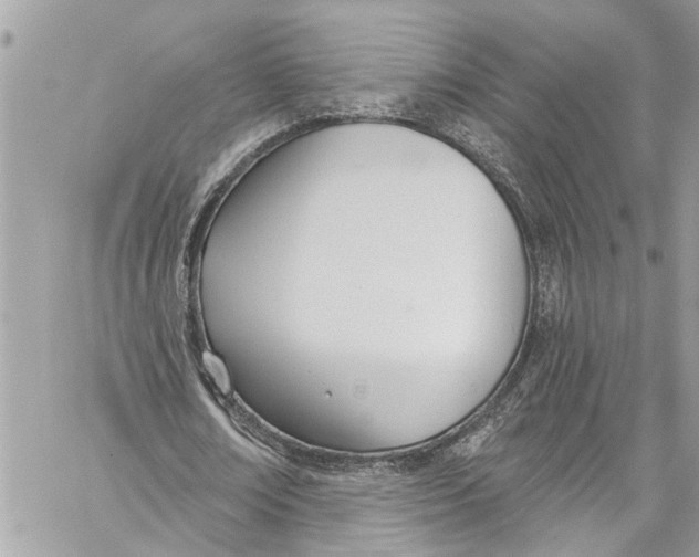 X0000060270674200511181420