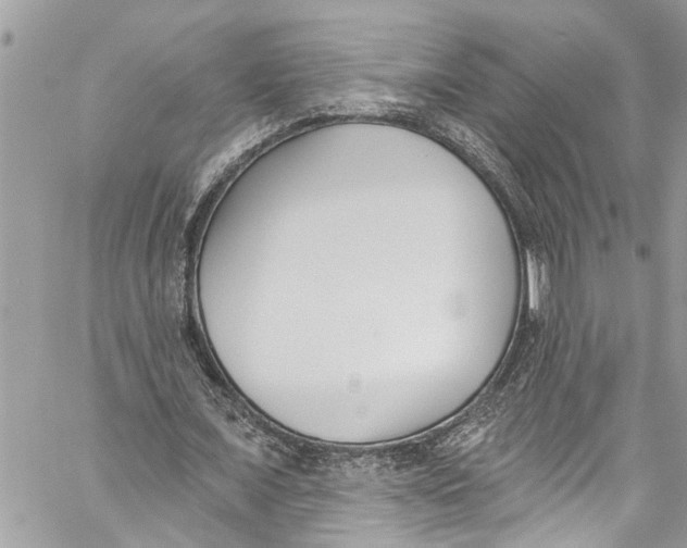 X0000060270675200511181420