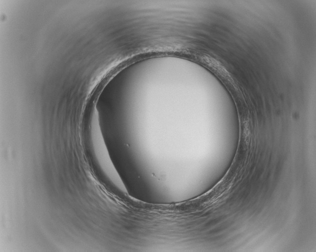 X0000060270676200511181420