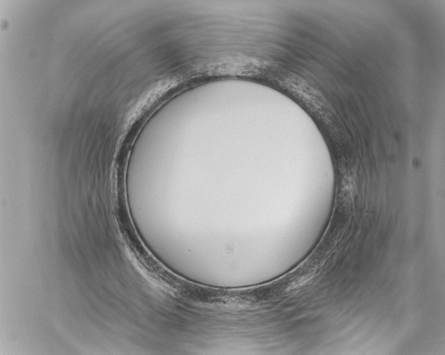 X0000060270678200511181420