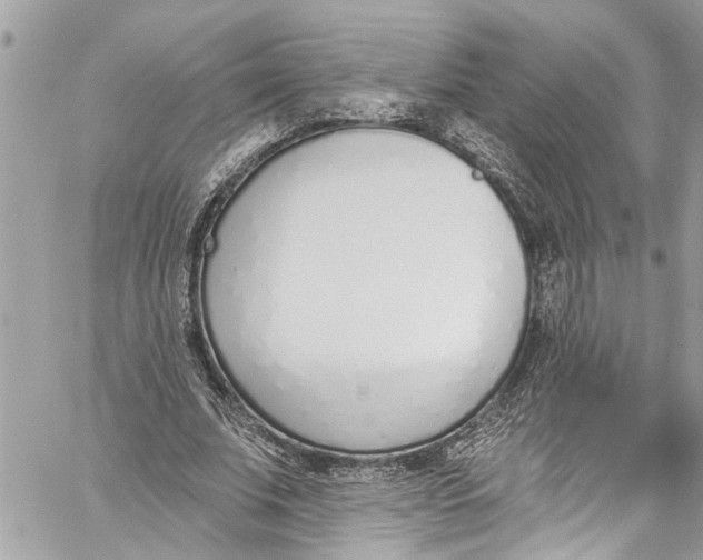 X0000060270679200511181420