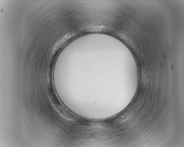 X0000060270682200511181420