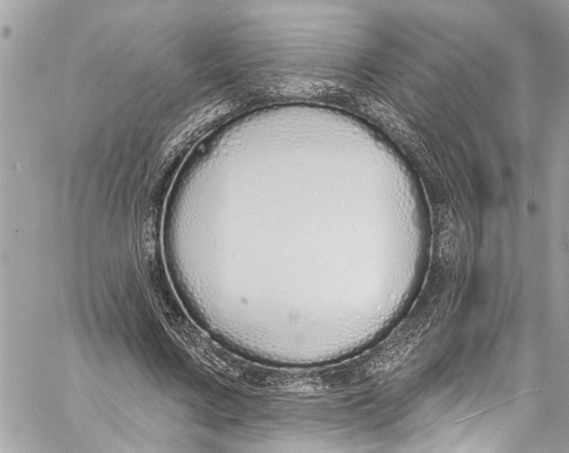 X0000060270683200511181420