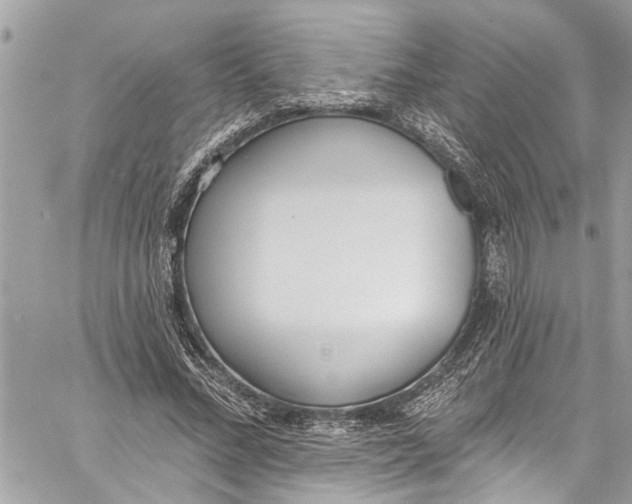 X0000060270684200511181420