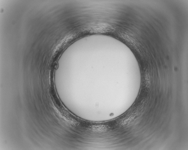 X0000060270686200511181420