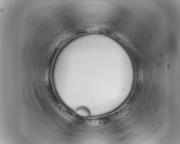 X0000060270687200511181420