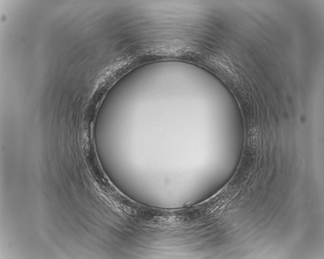 X0000060270688200511181420