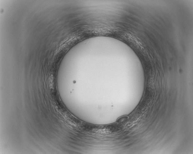 X0000060270689200511181420