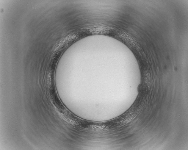 X0000060270690200511181420