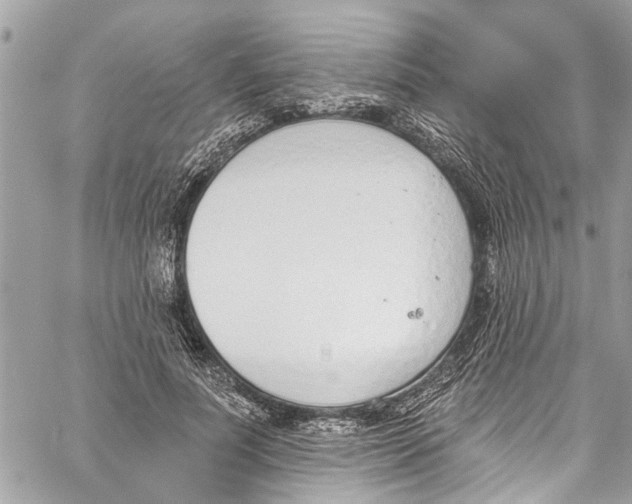 X0000060270691200511181420