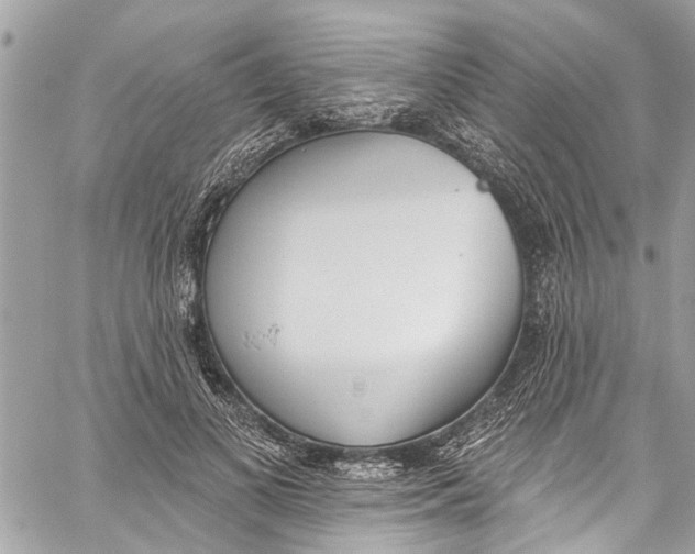 X0000060270693200511181420