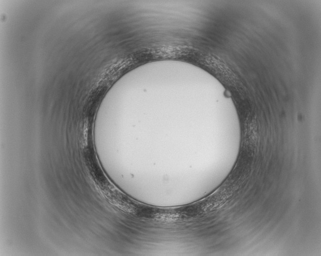 X0000060270694200511181420