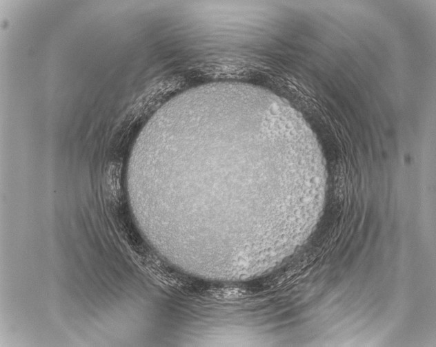 X0000060270695200511181420