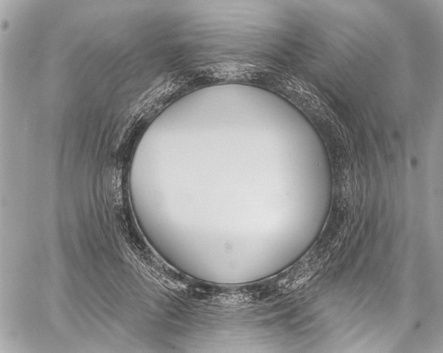 X0000060270696200511181420