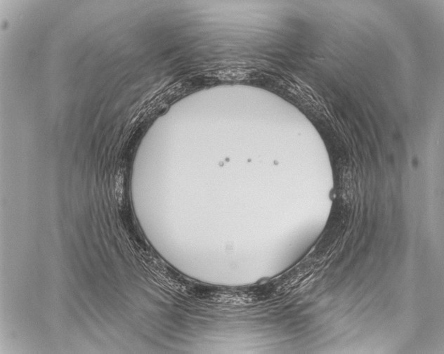 X0000060270697200511181420