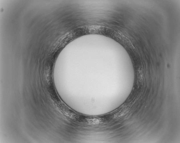 X0000060270698200511181420