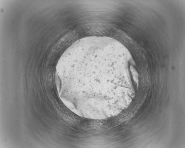 X0000060270701200511181420