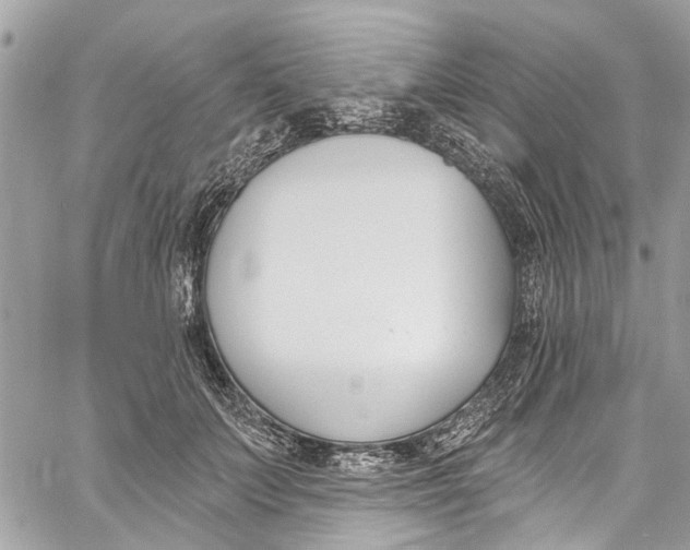 X0000060270703200511181420