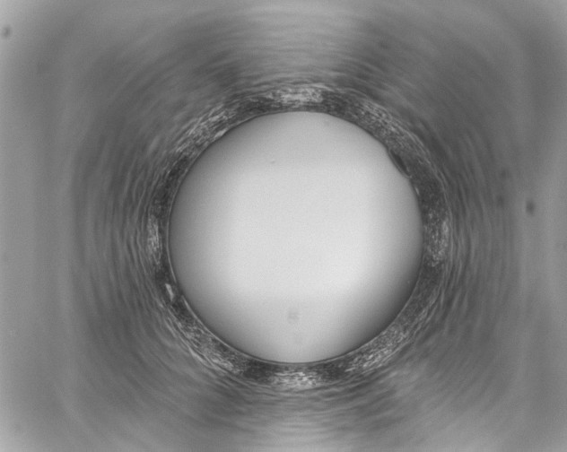 X0000060270704200511181420