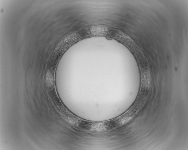 X0000060270705200511181420