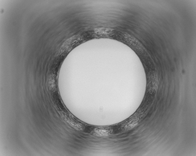 X0000060270706200511181419