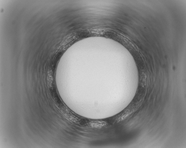 X0000060270707200511181419