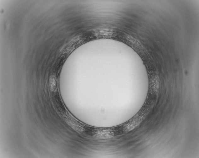 X0000060270709200511181419