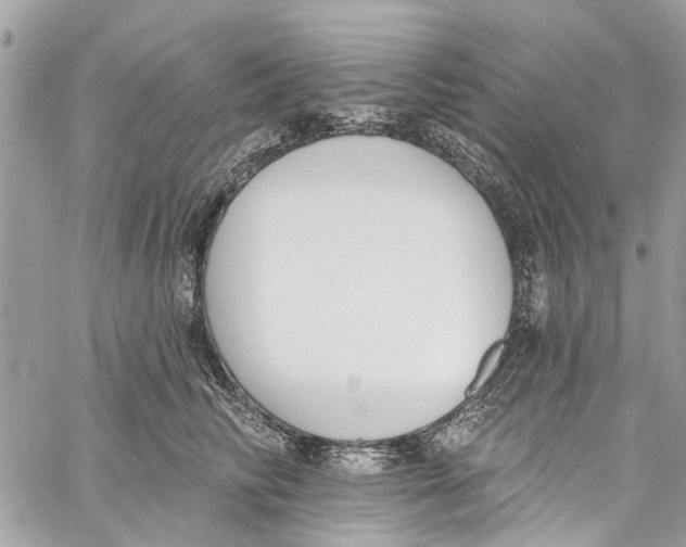 X0000060270710200511181419