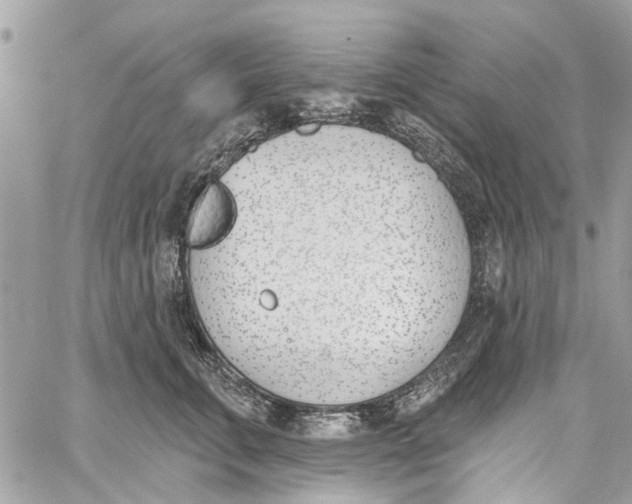 X0000060270711200511181419