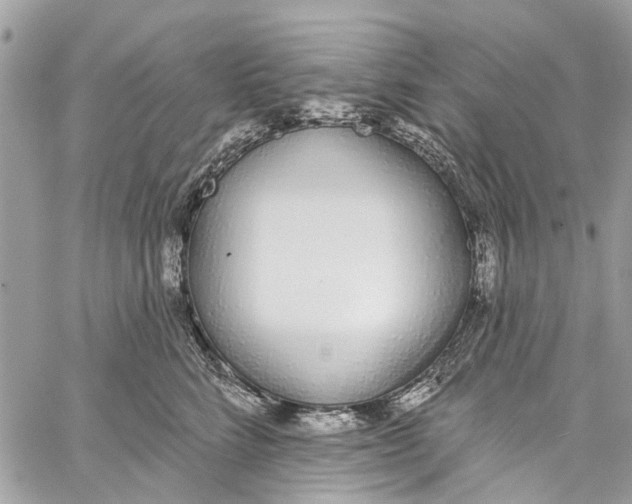 X0000060270712200511181419