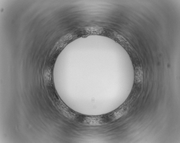 X0000060270713200511181419