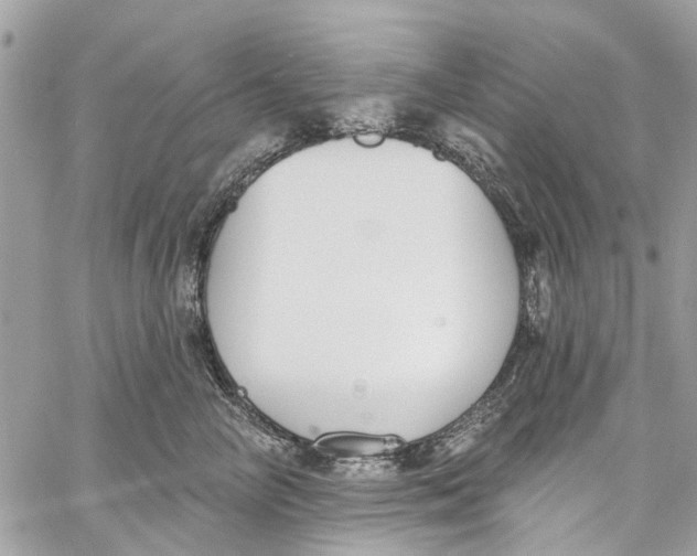 X0000060270714200511181419