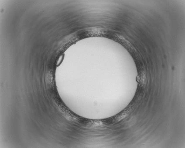 X0000060270715200511181419