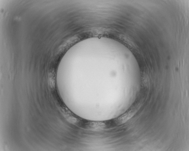 X0000060270719200511181419