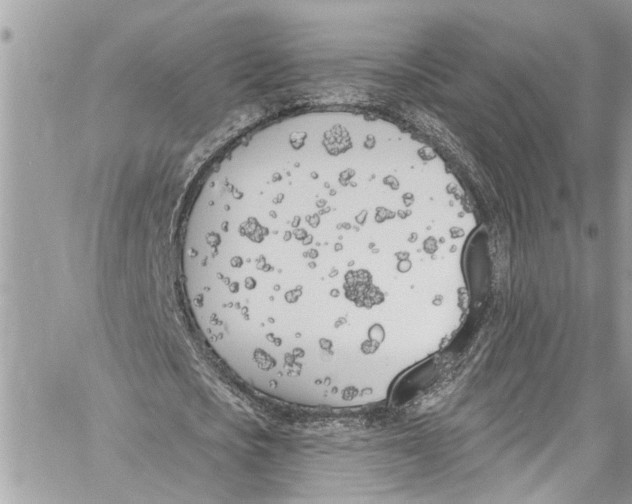 X0000060270721200511181418