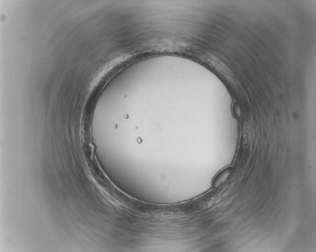 X0000060270722200511181418