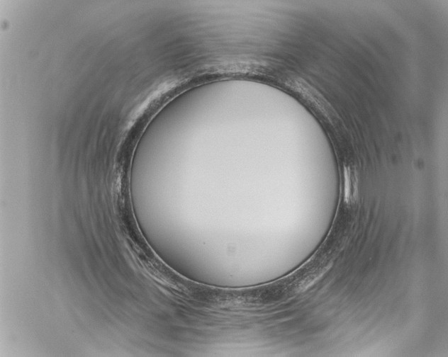 X0000060270723200511181418