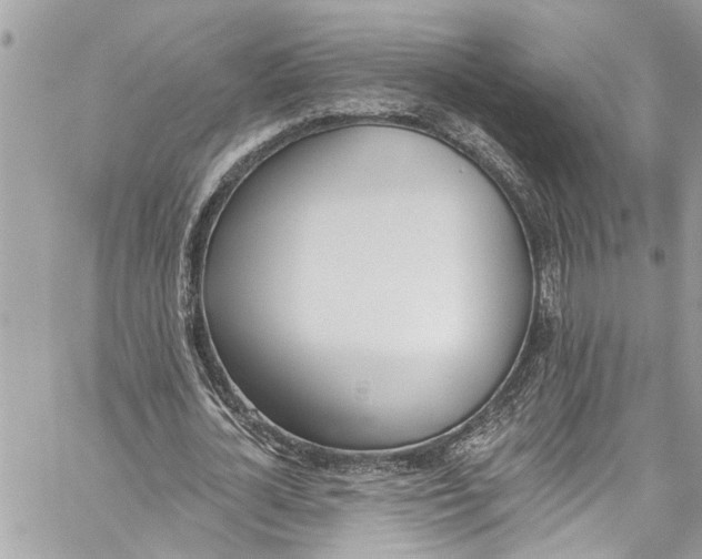 X0000060270724200511181419