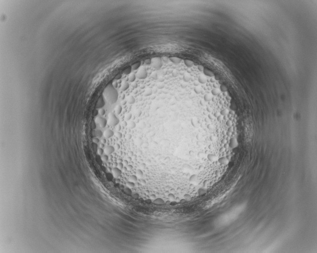 X0000060270725200511181419