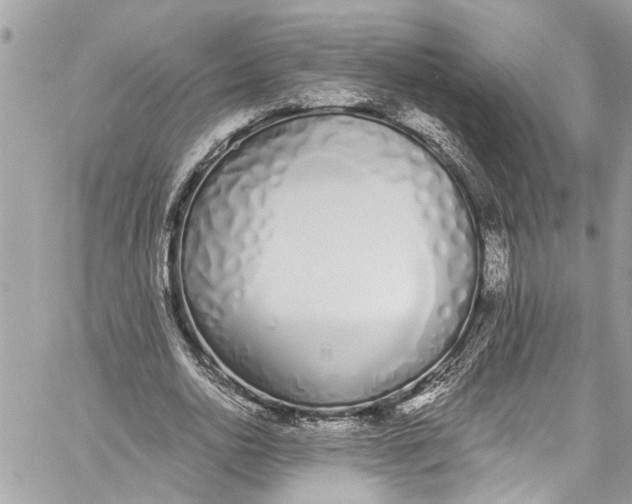 X0000060270726200511181419