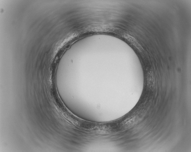 X0000060270727200511181419