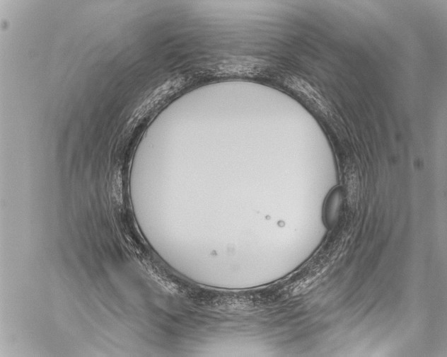 X0000060270729200511181419