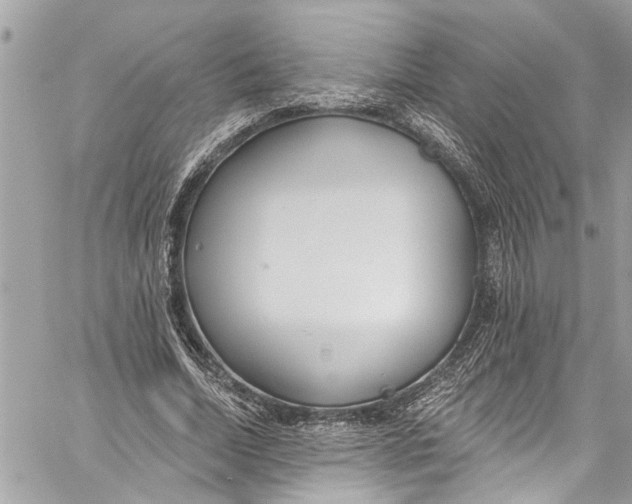 X0000060270730200511181419