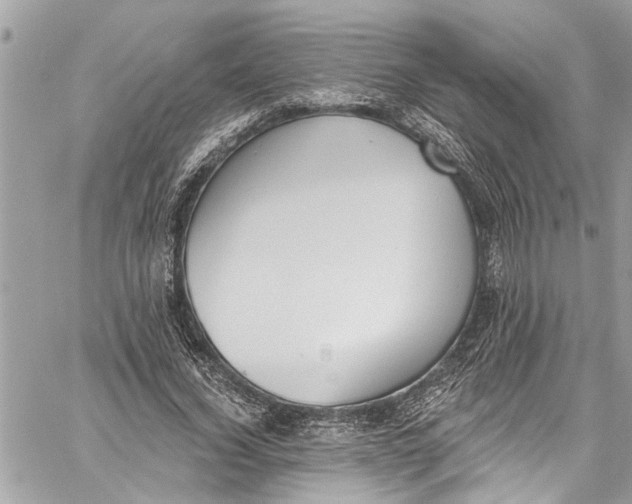 X0000060270732200511181419