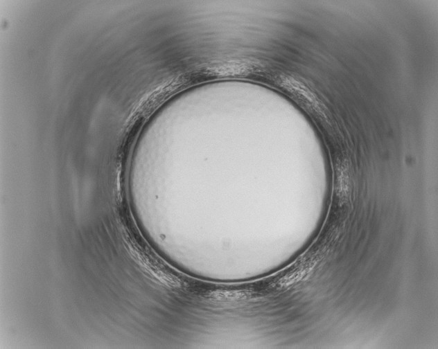 X0000060270733200511181419