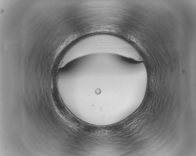 X0000060270734200511181419