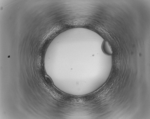 X0000060270735200511181419