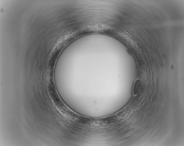 X0000060270736200511181419