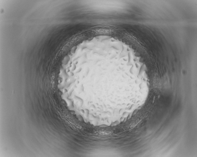 X0000060270737200511181419