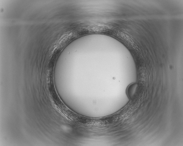 X0000060270738200511181419